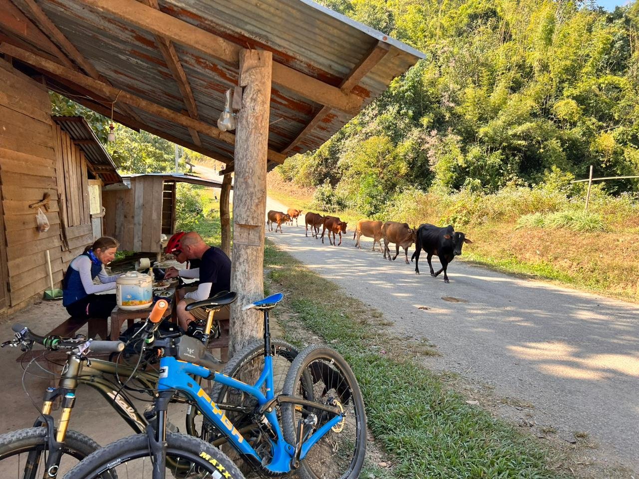 11 Day Cycling Tour through the Mountains of Northern Laos